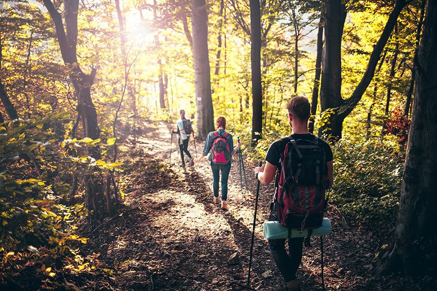 Blog - People Hiking Down a Hill in a Forest Wearing Camping Gear